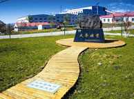 七台河天华矿业集团